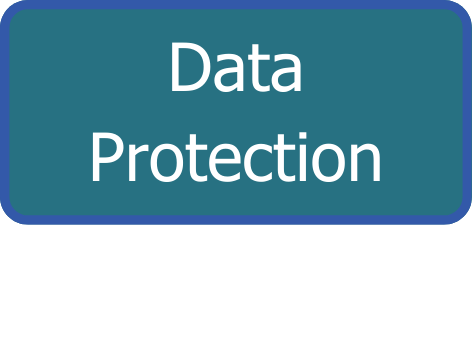 Data Protection Icon